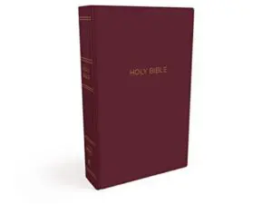 Maroon Holy Bible on white background