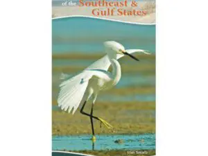 Shorebirds book cover with white egret
