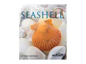 Book cover featuring orange seashell