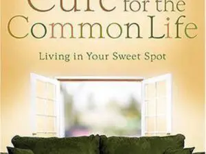 Book cover with open window and two dogs