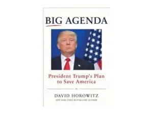 Book cover titled Big Agenda with male portrait