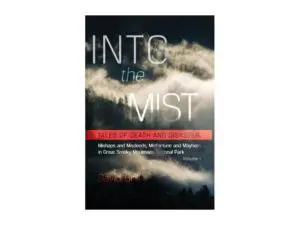 Into the Mist book cover with misty mountains