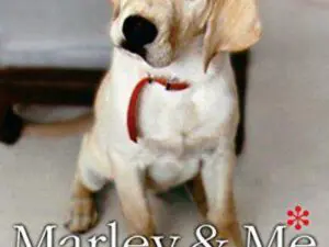 Marley and Me movie poster with puppy