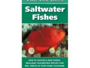 Book cover: The 101 Best Saltwater Fishes
