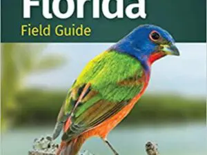 Colorful bird on Birds of Florida cover