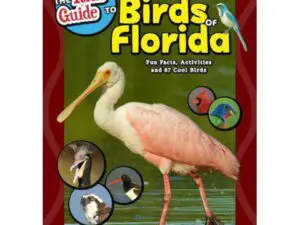 Book cover: Birds of Florida with spoonbill