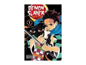 Demon Slayer Volume 1 cover art