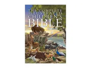 Children's Bible cover with animals and ark