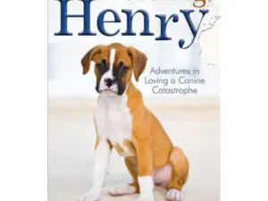 Puppy on Surviving Henry book cover