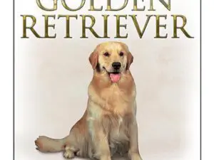 Golden retriever sitting on book cover