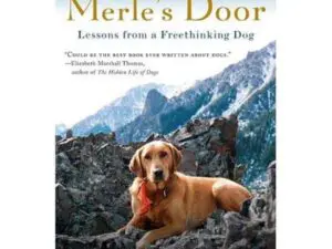Book cover: dog on rocky mountain landscape