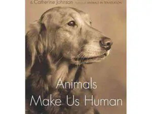 Sepia book cover with dog portrait