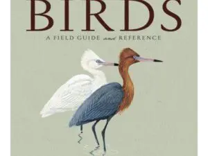 Florida's Birds book cover featuring two herons