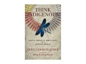 Book cover with blue dragonfly and sunburst
