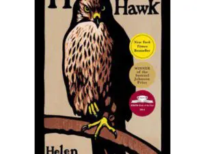 Illustrated book cover with perched hawk