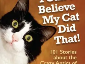 Wide-eyed black-and-white cat on book cover