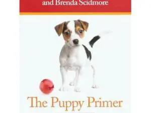 The Puppy Primer cover with small puppy