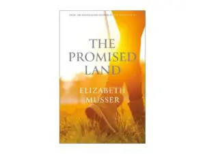 The Promised Land book cover, boots in sunlight