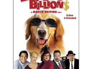 Bailey's Billion poster: dog in sunglasses