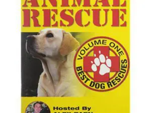 Yellow Animal Rescue cover with Labrador dog