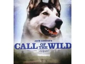 Husky on Call of the Wild cover