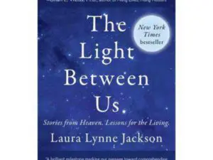 Blue book cover titled The Light Between Us