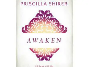 Awaken book cover with decorative purple ornament