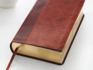 Brown leather-bound book with ribbon bookmark