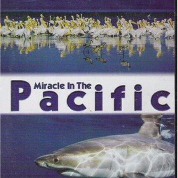 Miracle In The Pacific (DVD)