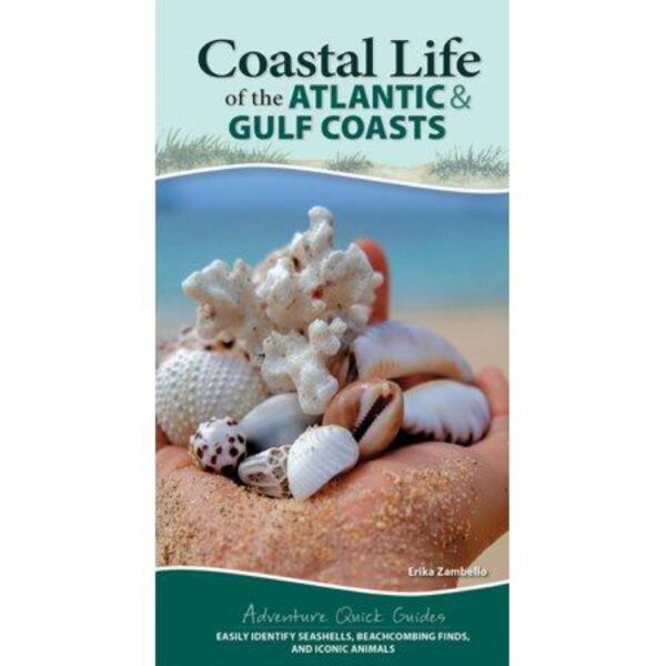 Coastal Life of the Atlantic and Gulf Coasts: (Adventure Quick Guides) by Erika Zambello