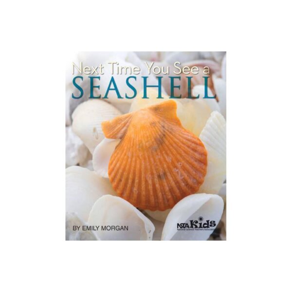 The Next Time You See A Seashell by Emily Morgan (Paperback)