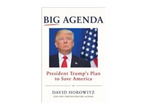 Big Agenda: President Trump's Plan To Save America by David Horowitz