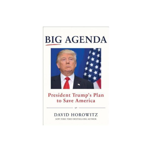 Big Agenda: President Trump's Plan To Save America by David Horowitz