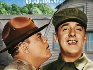 Gomer Pyle, U.S.M.C. The First Season (5 Disc DVD)