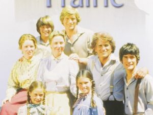 Little House on the Prairie The Complete Season 8 (6 Disc DVD Set)