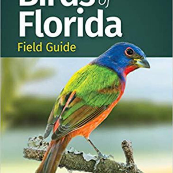 Birds of Florida Field Guide: 3rd Edition (Bird Identification Guides) by Stan Tekiela (Trade Paperback)