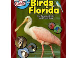 The Kids' Guide To Birds of Florida: Fun Facts, Activities and 87 Cool Birds by Stan Tekiela (Softcover)