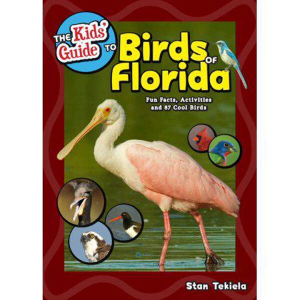 The Kids' Guide To Birds of Florida: Fun Facts, Activities and 87 Cool Birds by Stan Tekiela (Softcover)