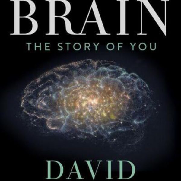 The Brain: The Story Of You by David Eagleman