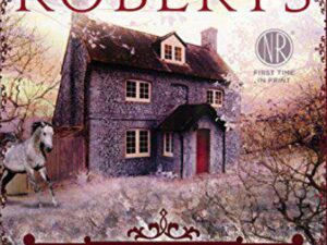 Dark Witch: Cousins O'Dwyer Trilogy Book One by Nora Roberts (Deckle Edged Trade Paperback)