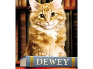 Dewey: The Small-Town Library Cat Who Touched the World by Vicki Myron with Bret Witter (Hardcover)