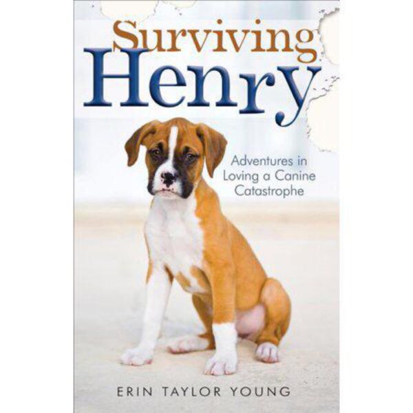 Surviving Henry: Adventures in Loving a Canine Catastrophe by Erin Taylor Young (Trade Paperback)