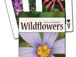 Wildflowers of the Southeast Playing Cards (Nature's Wild Cards) by Jaret C. Daniels