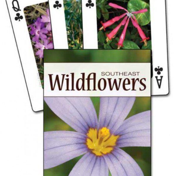 Wildflowers of the Southeast Playing Cards (Nature's Wild Cards) by Jaret C. Daniels