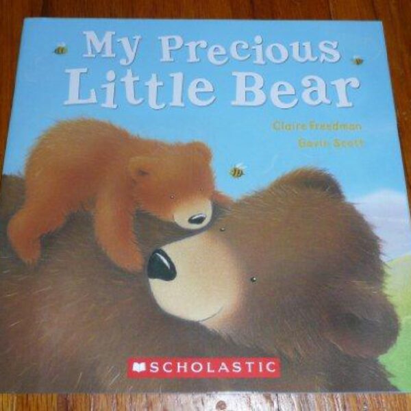 My Precious Little Bear by Claire Freedman and Gavin Scott (Paperback)