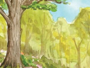 The Seasons Boxed 12 Notecard Assortment by Jenny Geuder Art