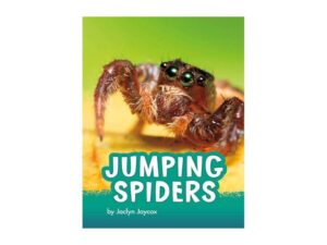 Jumping Spiders by Jaclyn Jaycox (Paperback)