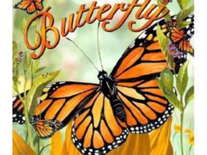 The Life Cycle of a Butterfly by Bobbie Kalman (Paperback)