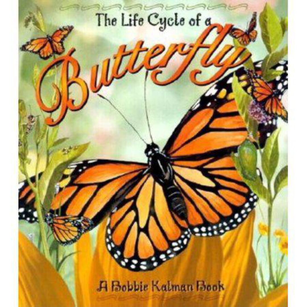 The Life Cycle of a Butterfly book cover