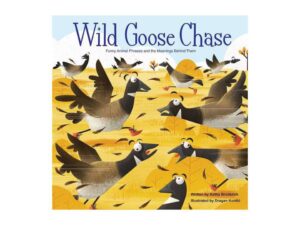 Wild Goose Chase: Funny Animal Phrases and the Meanings Behind Them by Kathy Broderick (Hardcover)